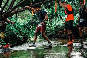 BIB: 
                            <button type="button" onclick="openModal(25269594)" class="btn btn-primary btn-sm float-right btn-popup" data-toggle="modal" data-target=".modal-high-quality">
                        <i class="fas fa-shopping-cart"></i> Add to Cart
                    </button>
                                            <button type="button" onclick="isThisMe(25269594, true)" class="btn btn-success btn-sm float-right btn-popup btn-isme hidden" data-toggle="tooltip" data-placement="bottom" title="นี่คือรูปของคุณใช่ไหม คลิกที่นี่เพื่อเอาเข้าอัลบั้ม">
                        <i class="fas fa-plus"></i> Add to album
                    </button>
                    <button type="button" onclick="isThisMe(25269594, false)" class="btn btn-warning btn-sm float-right btn-popup btn-isnotme hidden">
                        <i class="fas fa-ban"></i> Remove from album
                    </button>